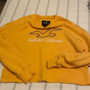 Hollister Cropped Crewneck